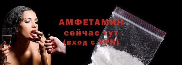 mdpv Краснослободск
