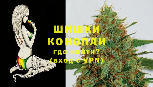 mdpv Краснослободск