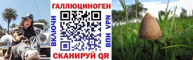 Галлюциногенные грибы GOLDEN TEACHER  Кущёвская 