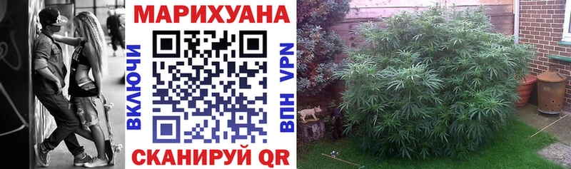 Бошки марихуана OG Kush  где найти наркотики  Кущёвская 